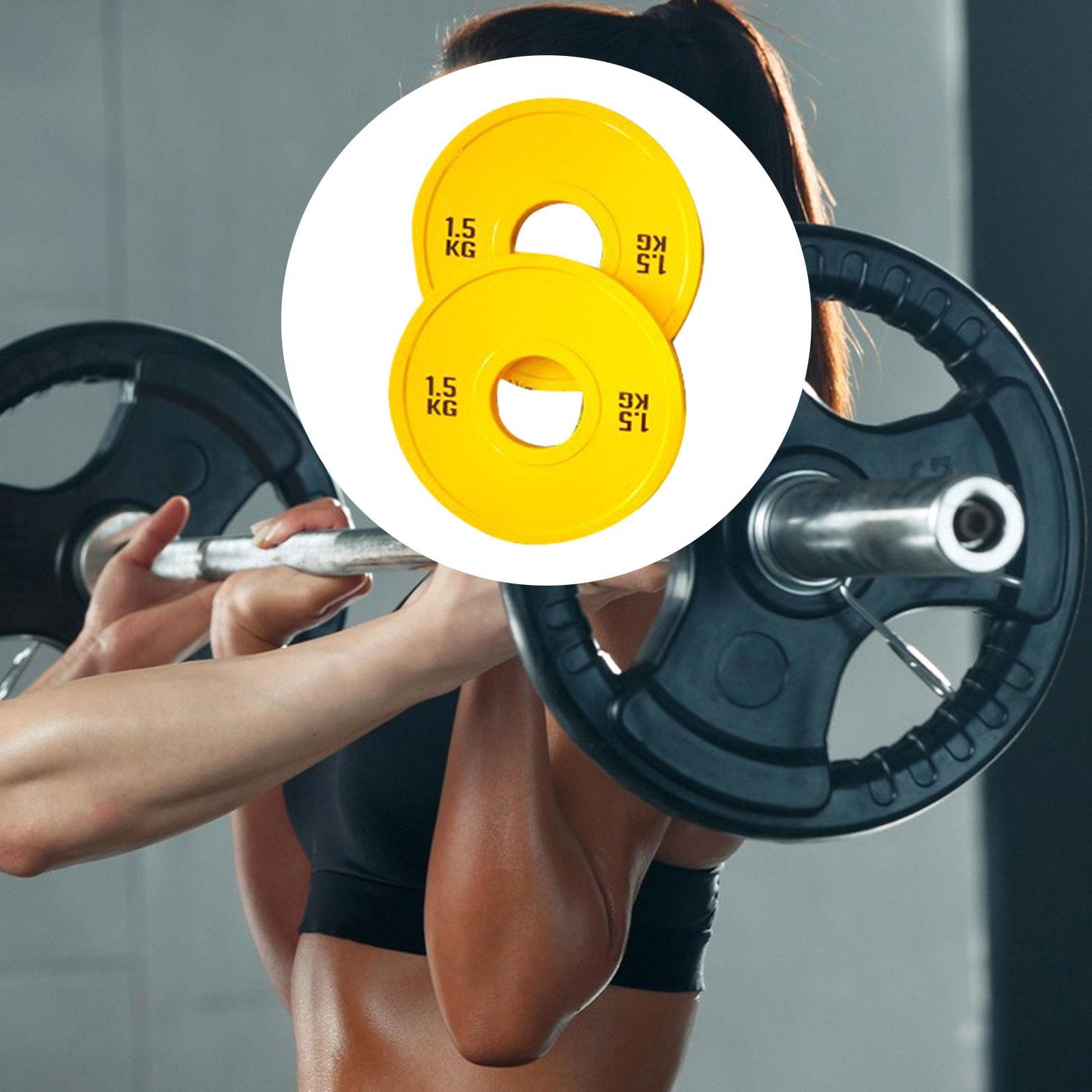 Pelat Beban Mikro untuk Latiha - Home Gym Routine ulasan dan harga