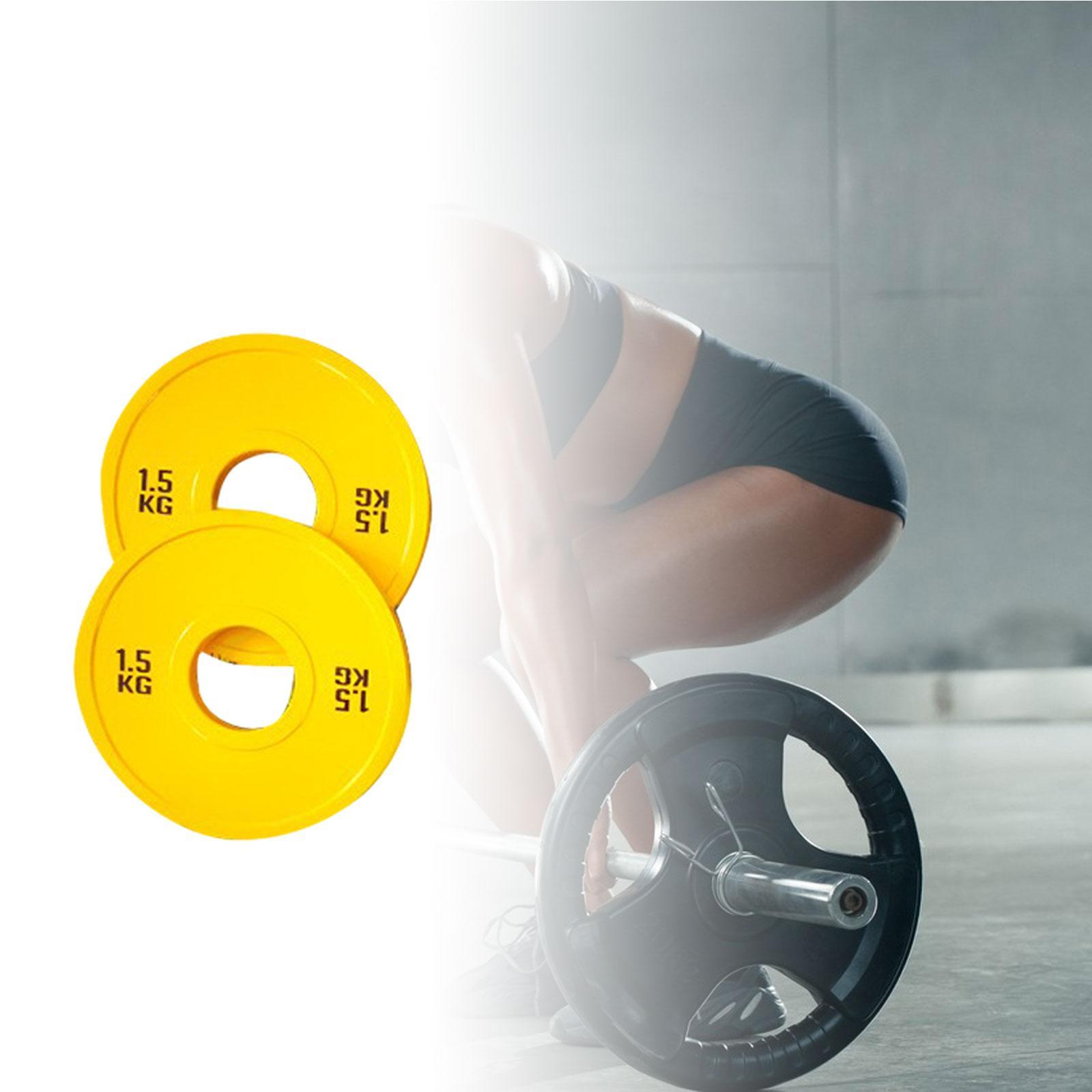 Pelat Beban Mikro untuk Latiha - Home Gym Routine ulasan dan harga
